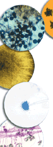 cover2_01.gif